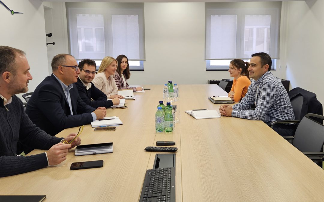 MEMO and Elektromreža Serbia collaborate on strengthening Guarantees of Origin mechanisms