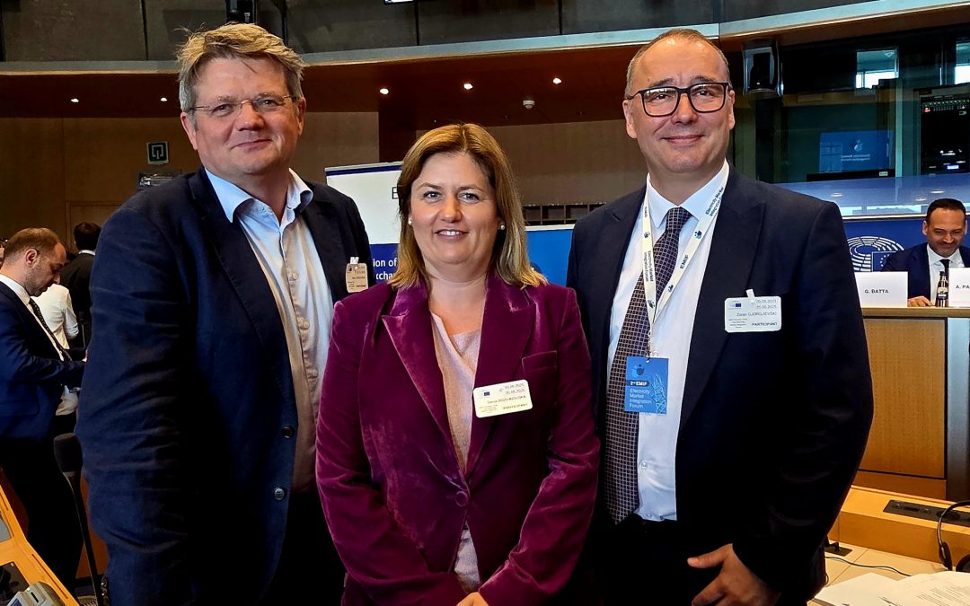 Integration into the European Electricity Market – A Strategic Goal for our country