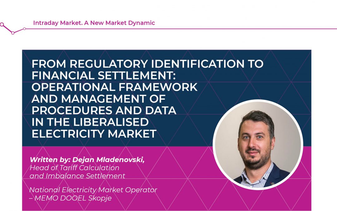 From regulatory identification to financial settlement: Operational framework and management of procedures and data in the liberalised electricity market