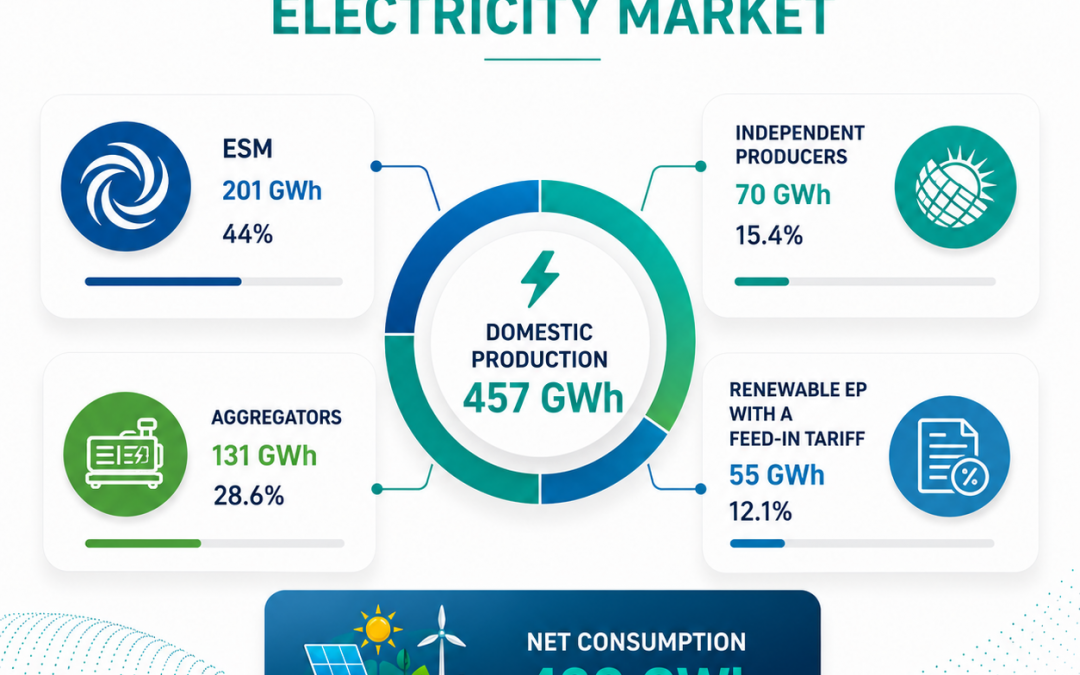 Electricity Quantities Report –May 2026