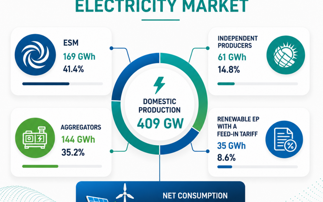 Electricity Quantities Report –June 2026