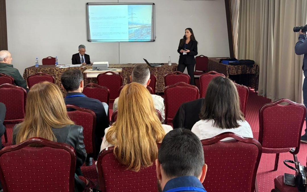 MEMO at the International Conference “Energy 2026”: Comparative Analysis of the Day-Ahead Market Before and During the Early Stages of CBAM Presented