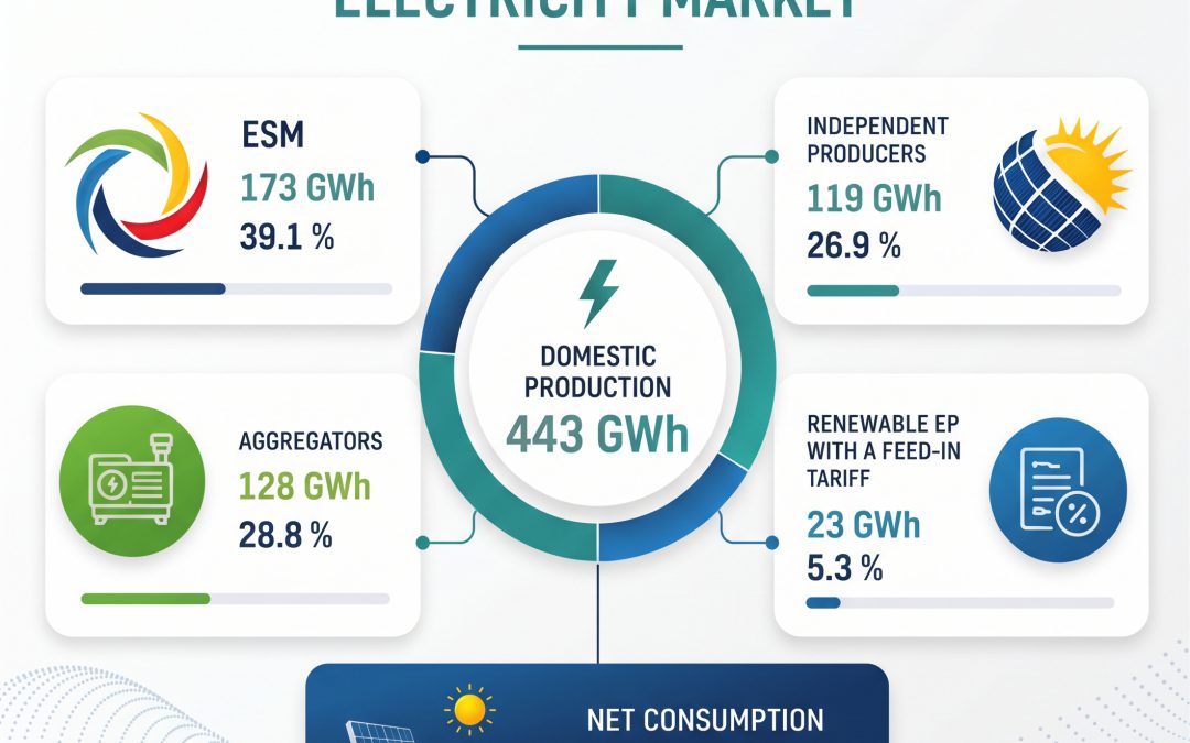 Electricity Quantities Report – September 2026